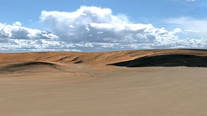 Nigerian desert landscape