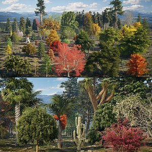 North American Forest Trees Complete 3D Collection