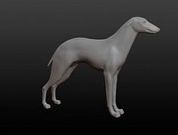 Dog base mesh