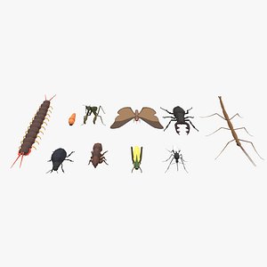 9t5 Low Poly Insects 2 3D
