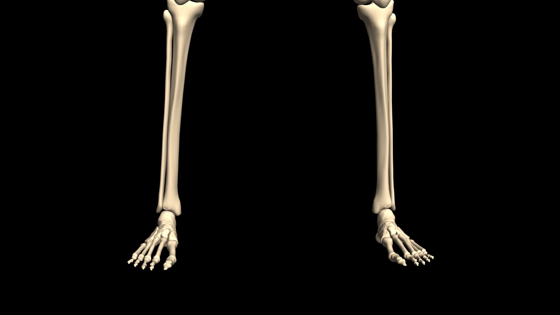 3D Booty Hip Hop Dance https://p.turbosquid.com/ts-thumb/Ms/SGa53A/Bd/007/jpg/1751103626/1920x1080/fit_q87/b8b1153f8b612e0d0b45ed2e6d5b15ffc53d7c0d/007.jpg