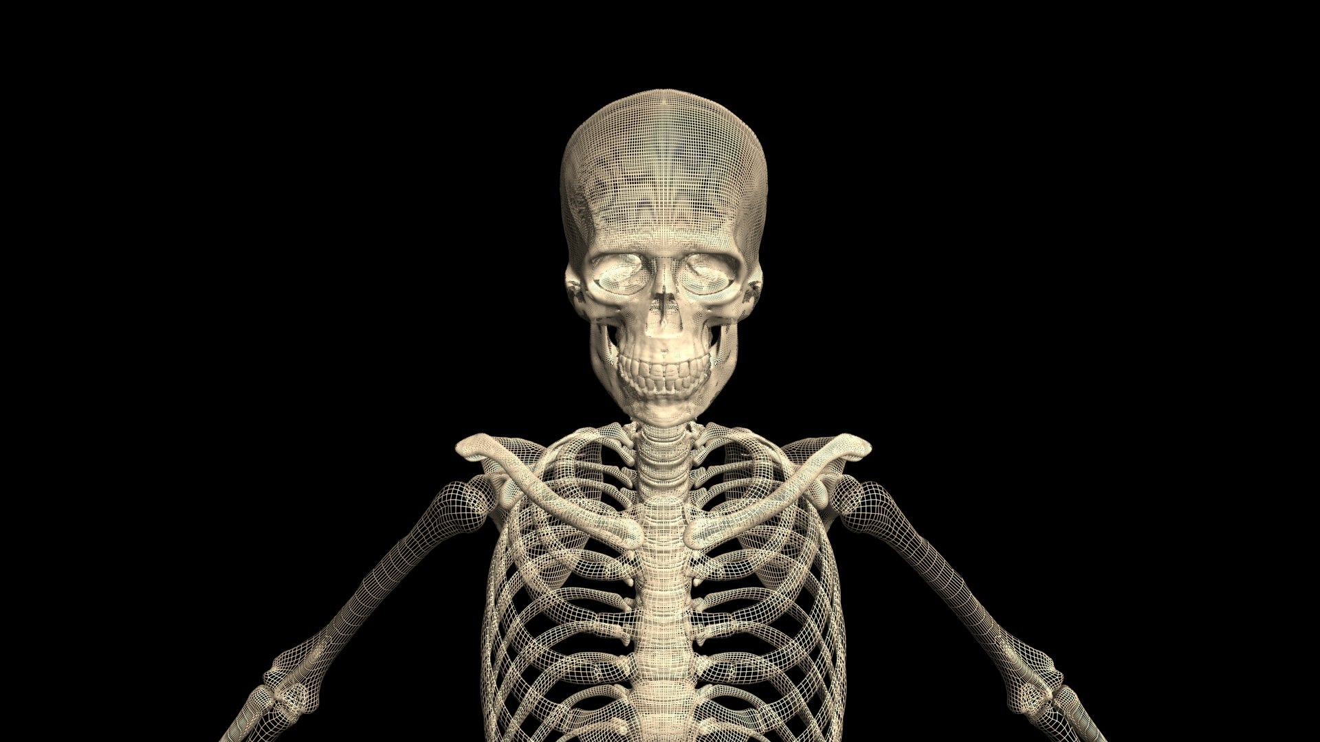 3D Booty Hip Hop Dance https://p.turbosquid.com/ts-thumb/Ms/SGa53A/FR/202/jpg/1751103629/1920x1080/fit_q87/635750f6cb1d11ec5ba60f9137a57ed476264750/202.jpg