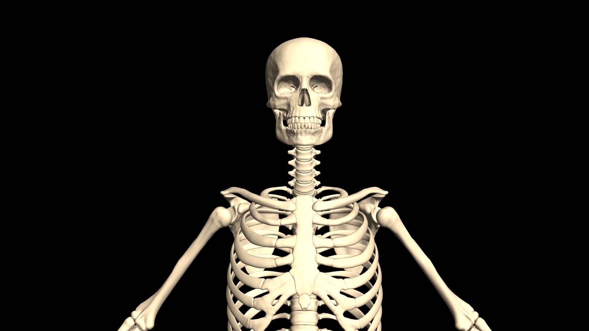 3D Booty Hip Hop Dance https://p.turbosquid.com/ts-thumb/Ms/SGa53A/H6/003/jpg/1751103624/1920x1080/fit_q87/ee15a6ef64a317ca0c8e94dfe560dfda28d98caf/003.jpg
