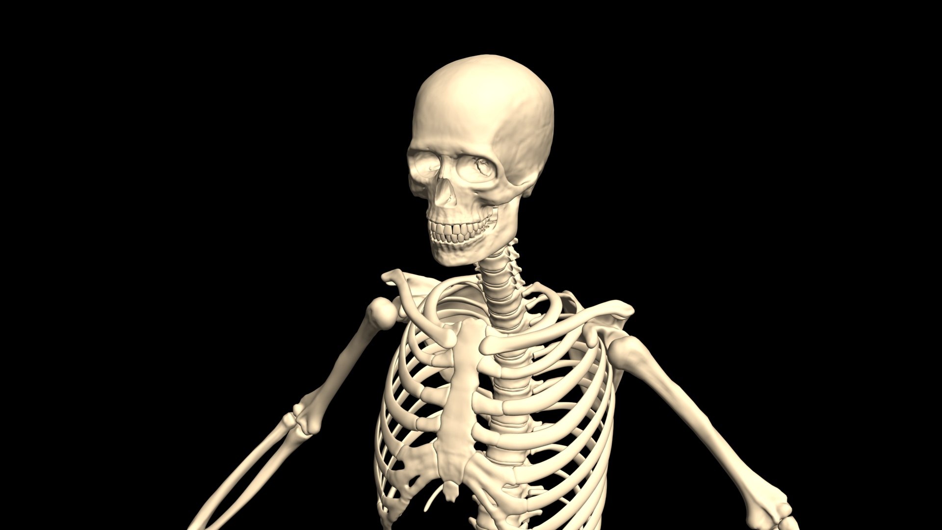 3D Booty Hip Hop Dance https://p.turbosquid.com/ts-thumb/Ms/SGa53A/Xq/002/jpg/1751103623/1920x1080/fit_q87/db1006438ec40176d1136d41009b40e9eeeb9d26/002.jpg