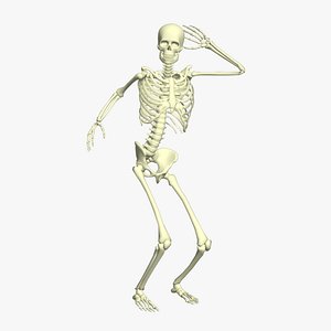 3D Booty Hip Hop Dance