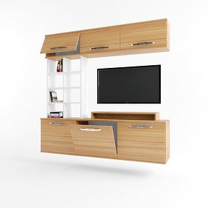 tv unit showcase model