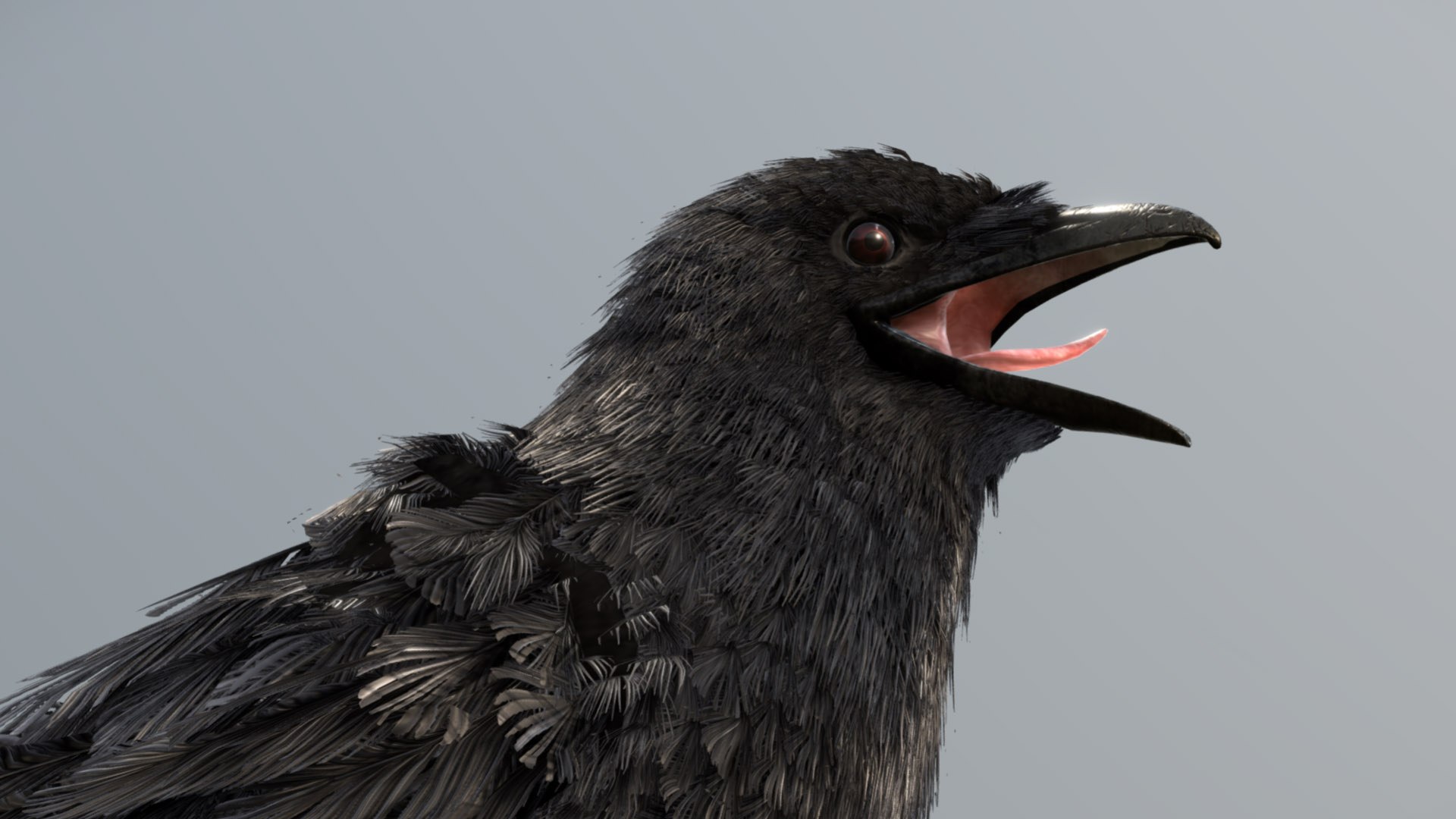 3D American Crow - TurboSquid 2399823