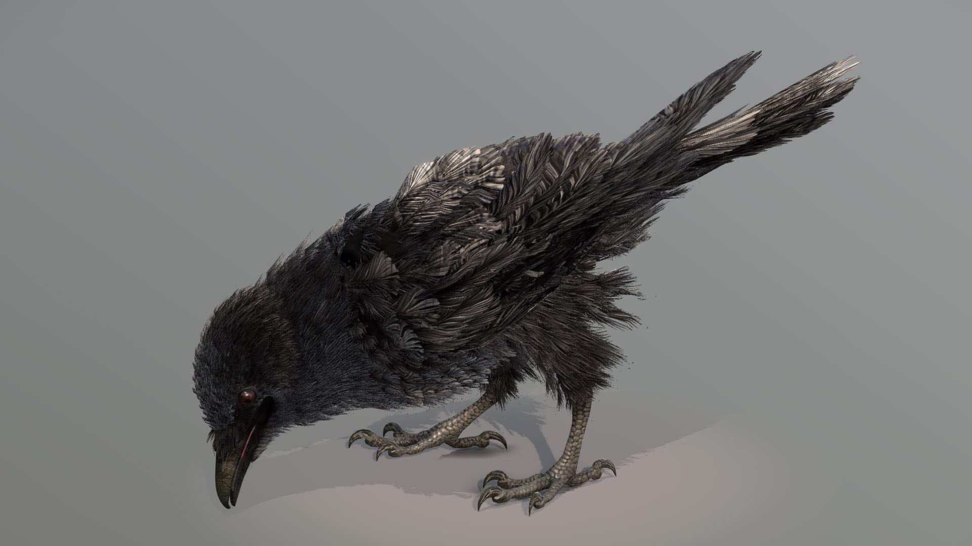 3D American Crow - TurboSquid 2399823