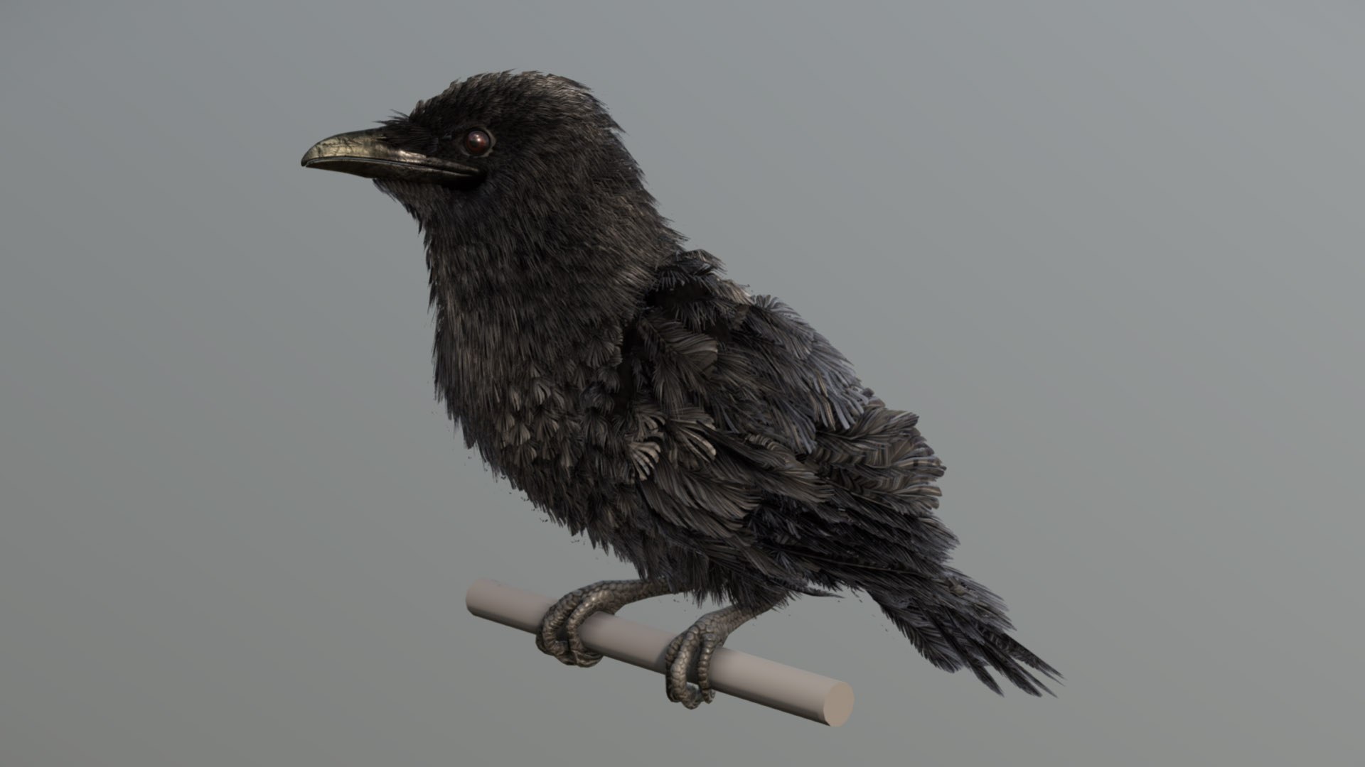 3D American Crow - TurboSquid 2399823