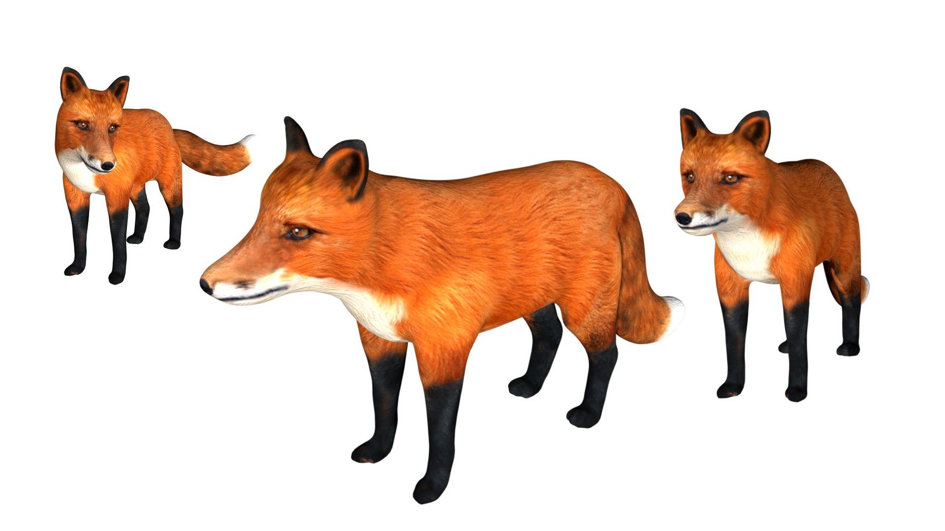 3D Rigged Low Poly Red Fox Model - TurboSquid 1755010