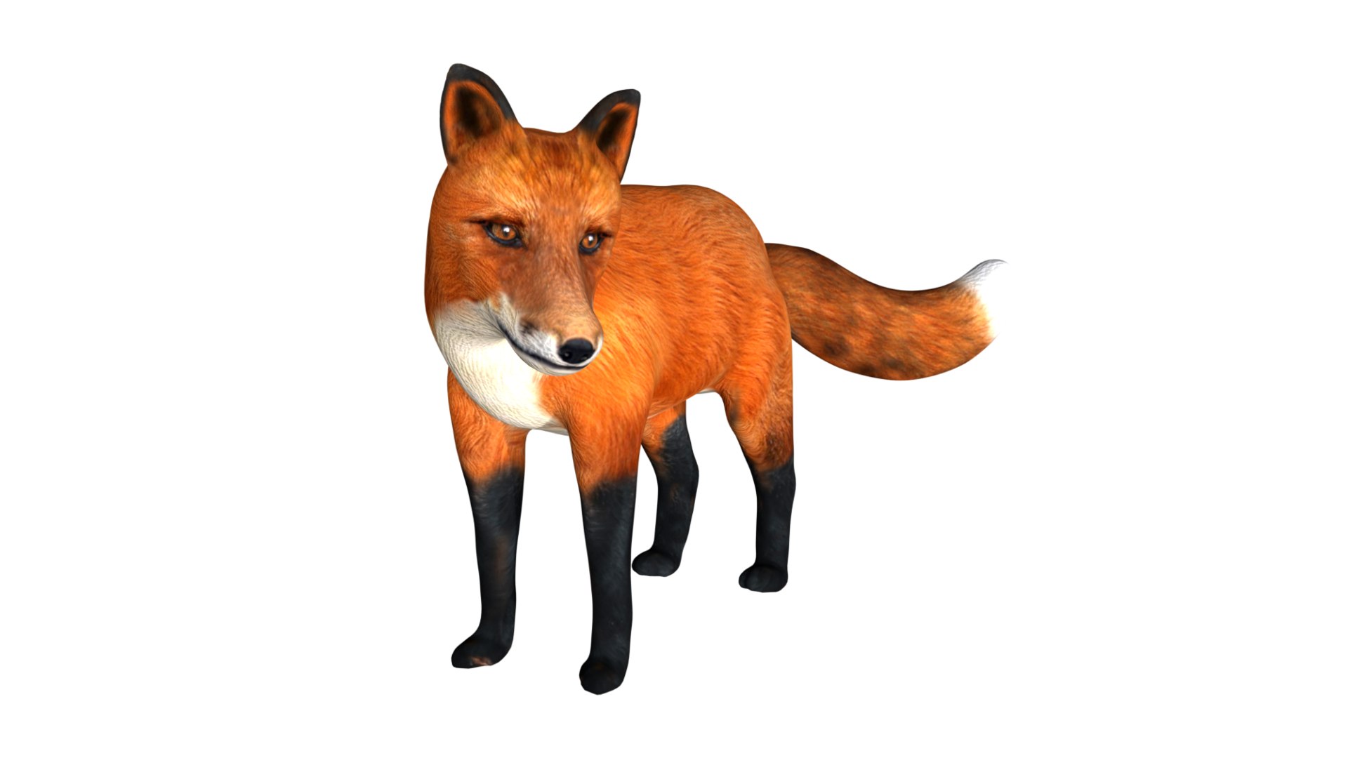 3D Rigged Low Poly Red Fox Model - TurboSquid 1755010