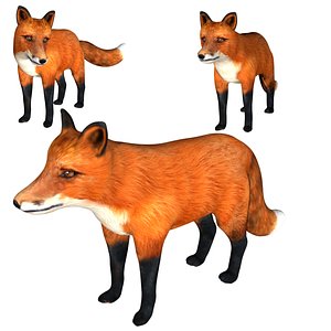3D Rigged low poly Red Fox model