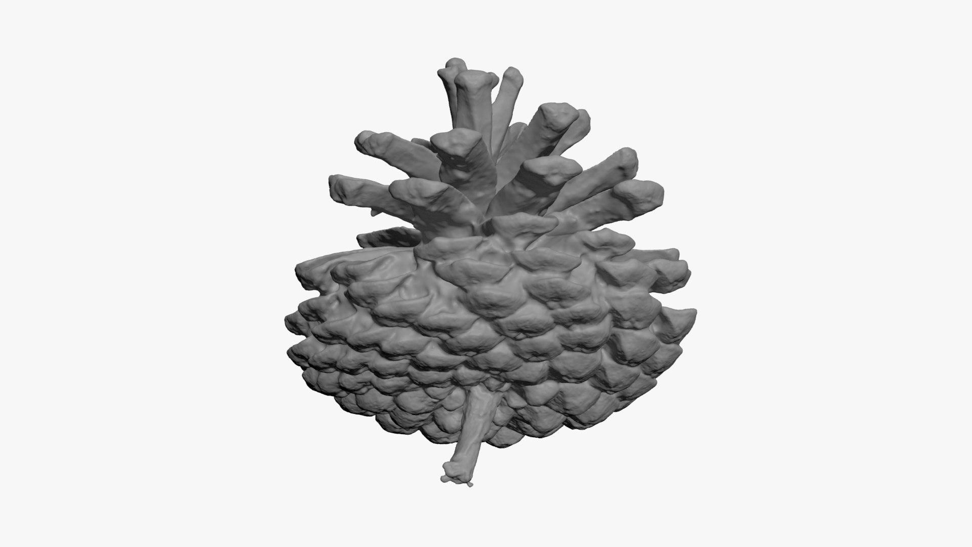 3D Dried Pine Cone 04 for 3D Print model https://p.turbosquid.com/ts-thumb/Ms/kL0nxD/Pz/driedpinecone04_b0014/jpg/1730556790/1920x1080/fit_q87/ac195182f541a790232ca604285a86e33acc7746/driedpinecone04_b0014.jpg