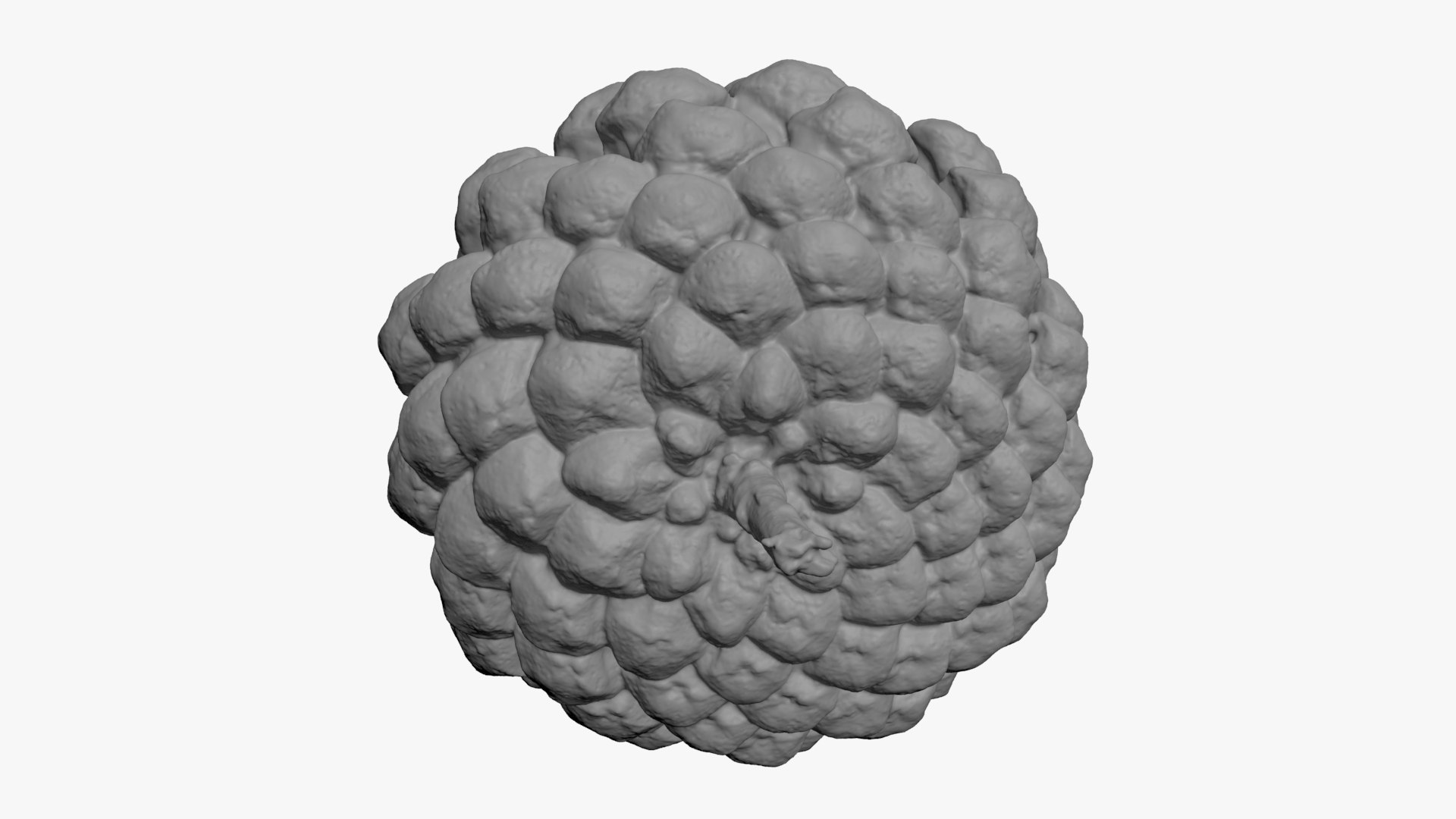 3D Dried Pine Cone 04 for 3D Print model https://p.turbosquid.com/ts-thumb/Ms/kL0nxD/ZD/driedpinecone04_b0016/jpg/1730556791/1920x1080/fit_q87/18948e43ca646a6e475ffa9933073fda9bc32909/driedpinecone04_b0016.jpg