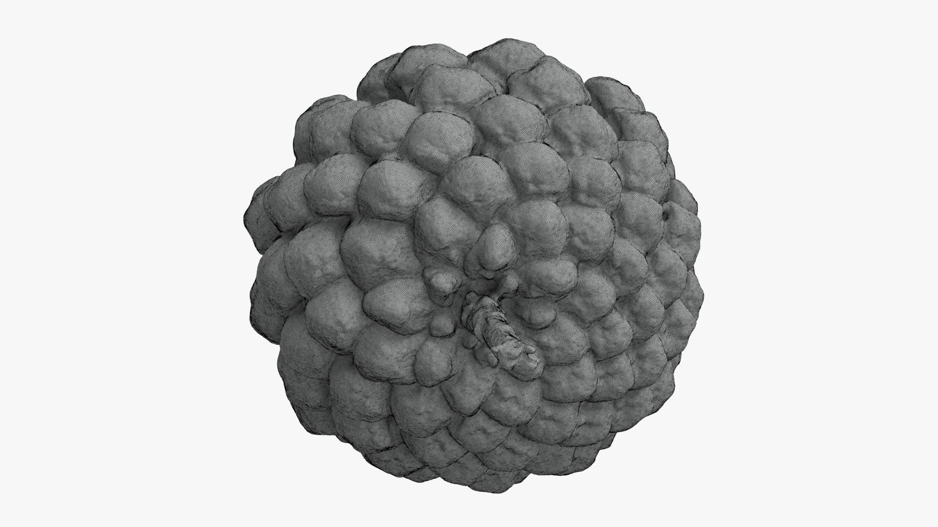 3D Dried Pine Cone 04 for 3D Print model https://p.turbosquid.com/ts-thumb/Ms/kL0nxD/a8/driedpinecone04_g0001/jpg/1730556791/1920x1080/fit_q87/0d5ab57128851f6465a844360ac1e4e2cd166ad7/driedpinecone04_g0001.jpg