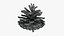 Dried Pine Cone 04 for 3D Print