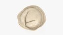 Pelmeni Dumpling Raw