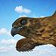 Buzzard by 3DRivers