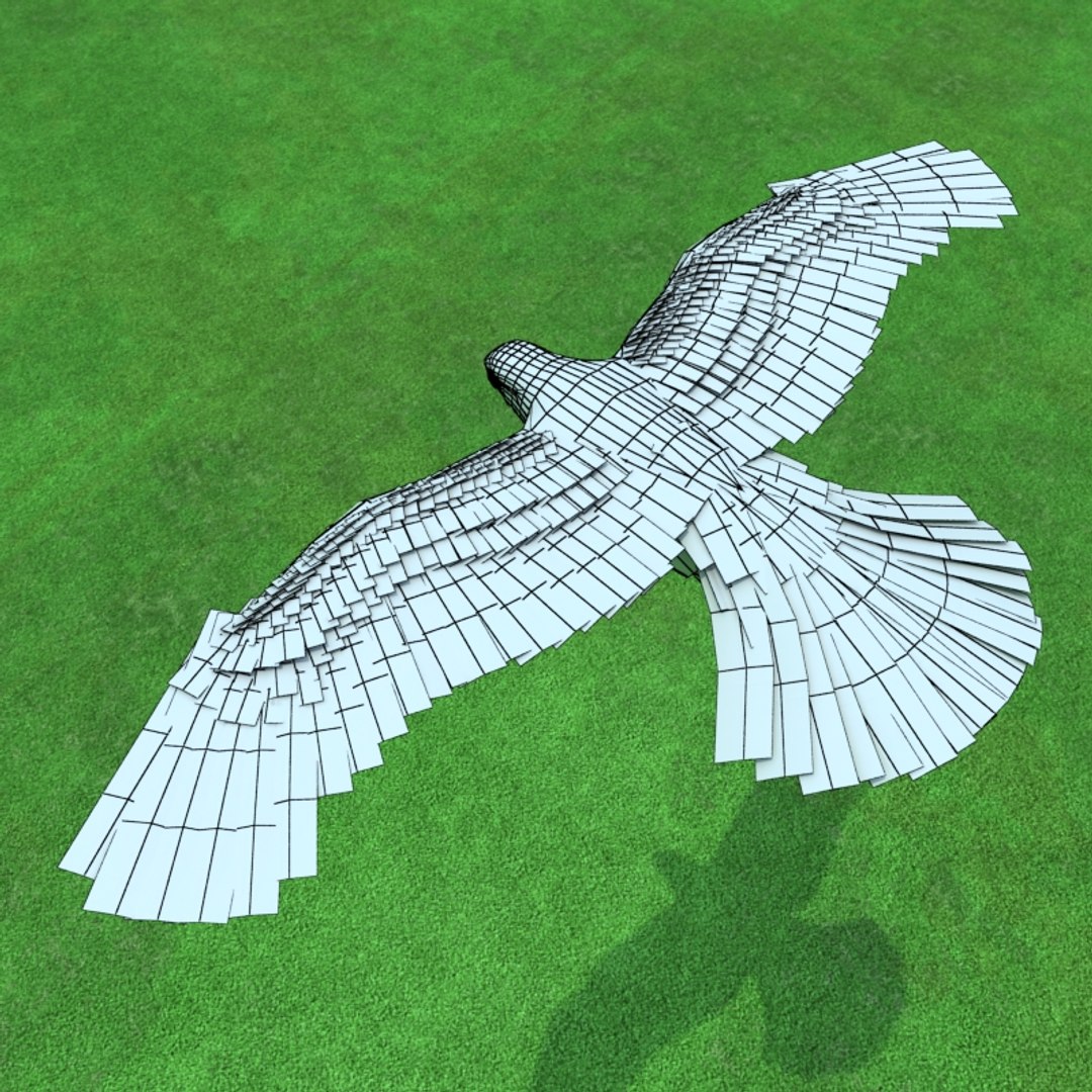 buzzard birds 3d model https://p.turbosquid.com/ts-thumb/Mt/1c0i7w/7kalwQD2/buzzardw01/jpg/1247054832/1920x1080/fit_q87/c114fed561d4c9adc444e96d572972ee15ac7083/buzzardw01.jpg