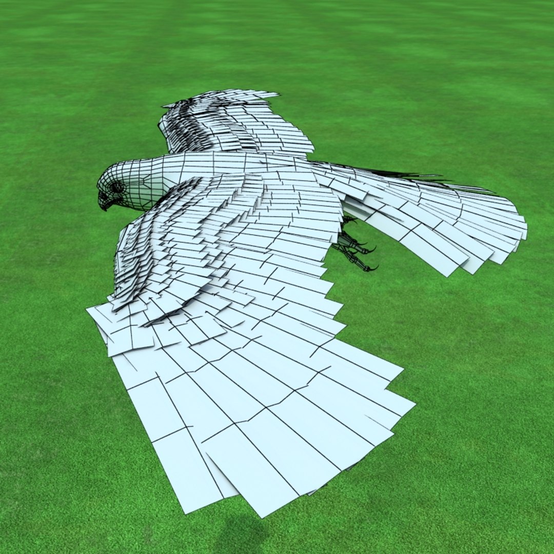 buzzard birds 3d model https://p.turbosquid.com/ts-thumb/Mt/1c0i7w/GHN06tIr/buzzardw03/jpg/1247054849/1920x1080/fit_q87/a83353ab5af5550a18f886aa0e764d5cd4b6dea9/buzzardw03.jpg
