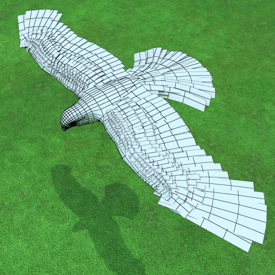 buzzard birds 3d model https://p.turbosquid.com/ts-thumb/Mt/1c0i7w/SRrIm0mW/buzzardw02/jpg/1247054841/1920x1080/fit_q87/87c2cc93e9d8d0c6aa0e18a63dfa2c6ecb03d5e8/buzzardw02.jpg