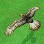 Buzzard by 3DRivers