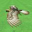 Buzzard by 3DRivers