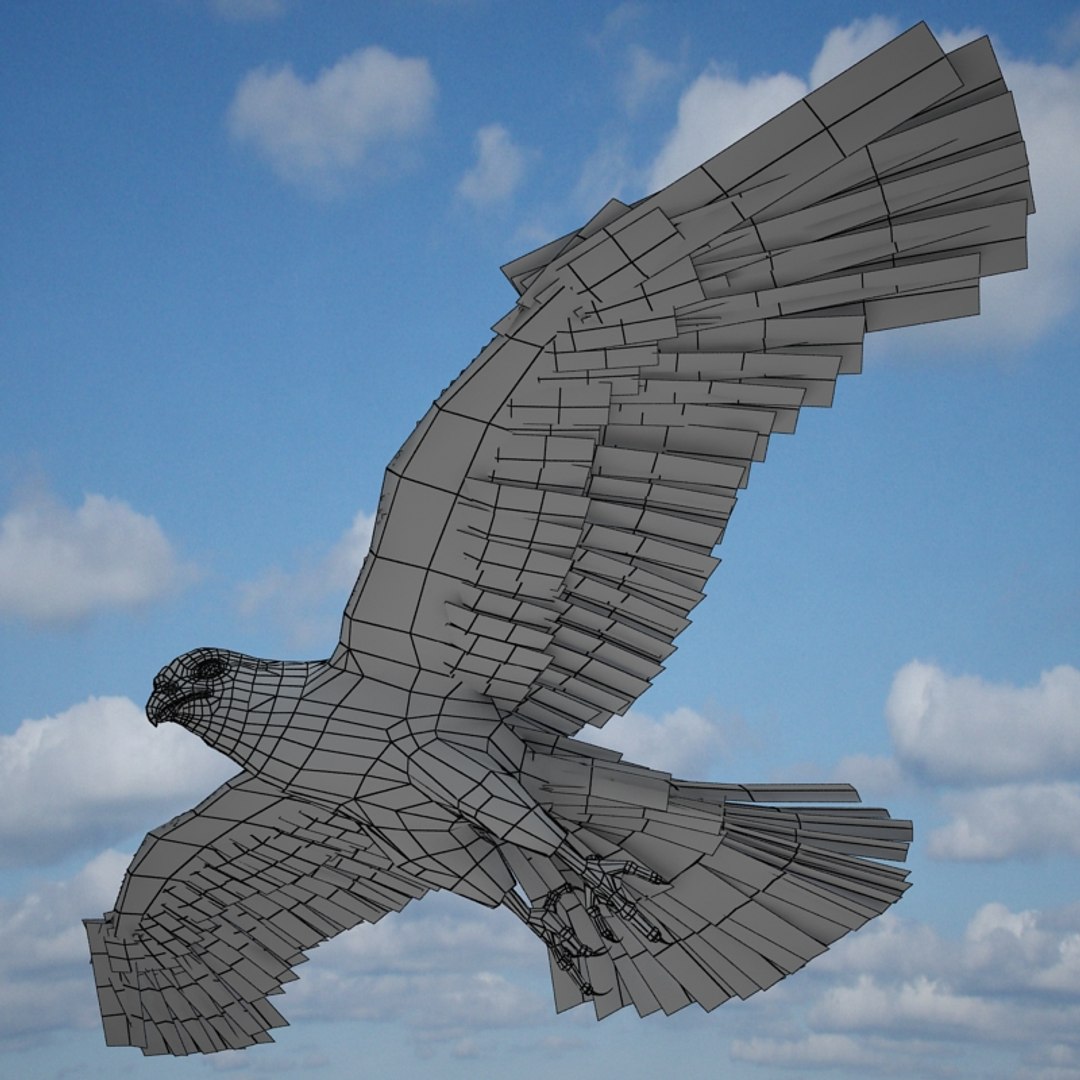 buzzard birds 3d model https://p.turbosquid.com/ts-thumb/Mt/1c0i7w/svSkPORB/buzzardw04/jpg/1247054858/1920x1080/fit_q87/0c0f62ab7733e199c0ebd4e0872947a5d0945077/buzzardw04.jpg