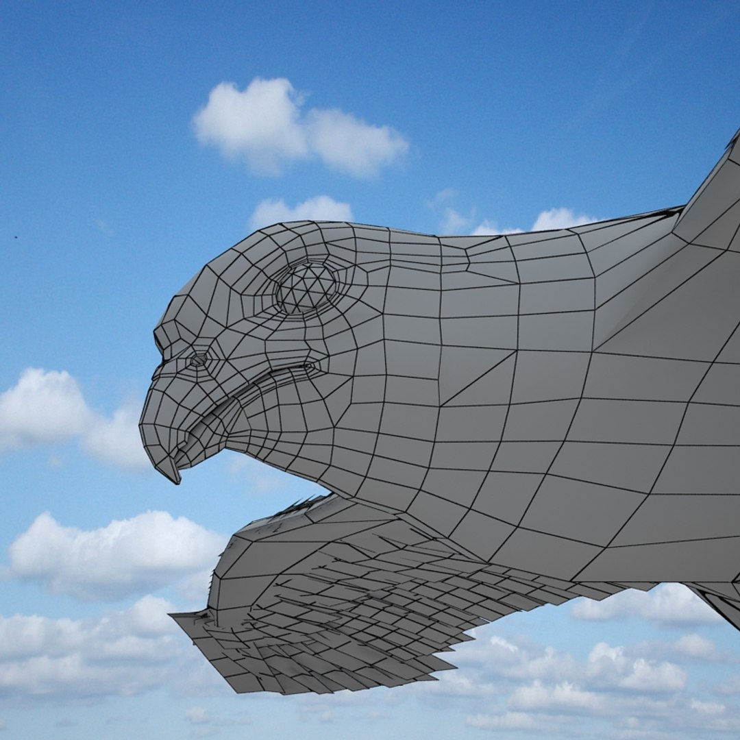buzzard birds 3d model https://p.turbosquid.com/ts-thumb/Mt/1c0i7w/xa4cVtDS/buzzardw06/jpg/1247054875/1920x1080/fit_q87/98094958839bd7630eddd4072c0380e76b17620c/buzzardw06.jpg