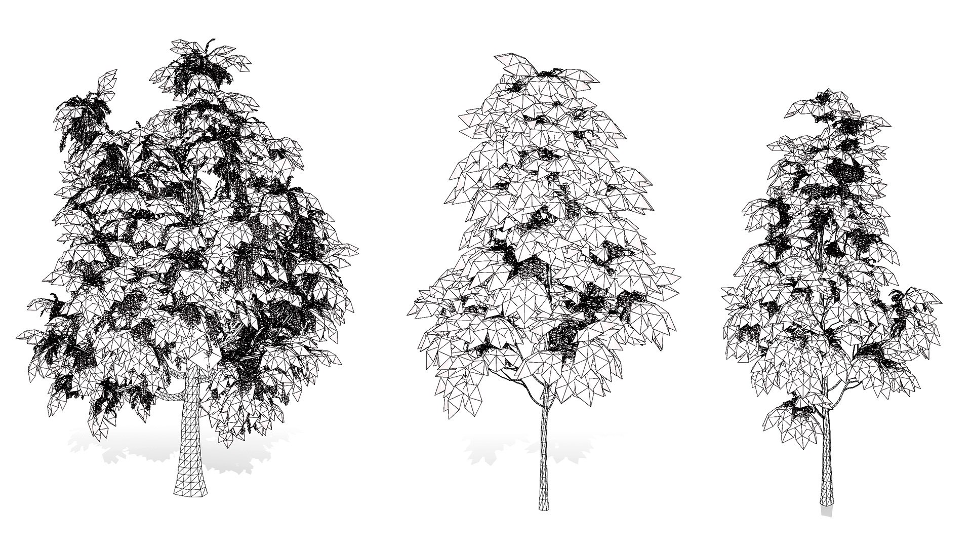 3D Sourwood Tree 3D Model https://p.turbosquid.com/ts-thumb/Mt/8kujQG/BB/wirel/jpg/1741211447/1920x1080/fit_q87/6d1f8c047ab902aa83df6051c44fa9929a120cee/wirel.jpg