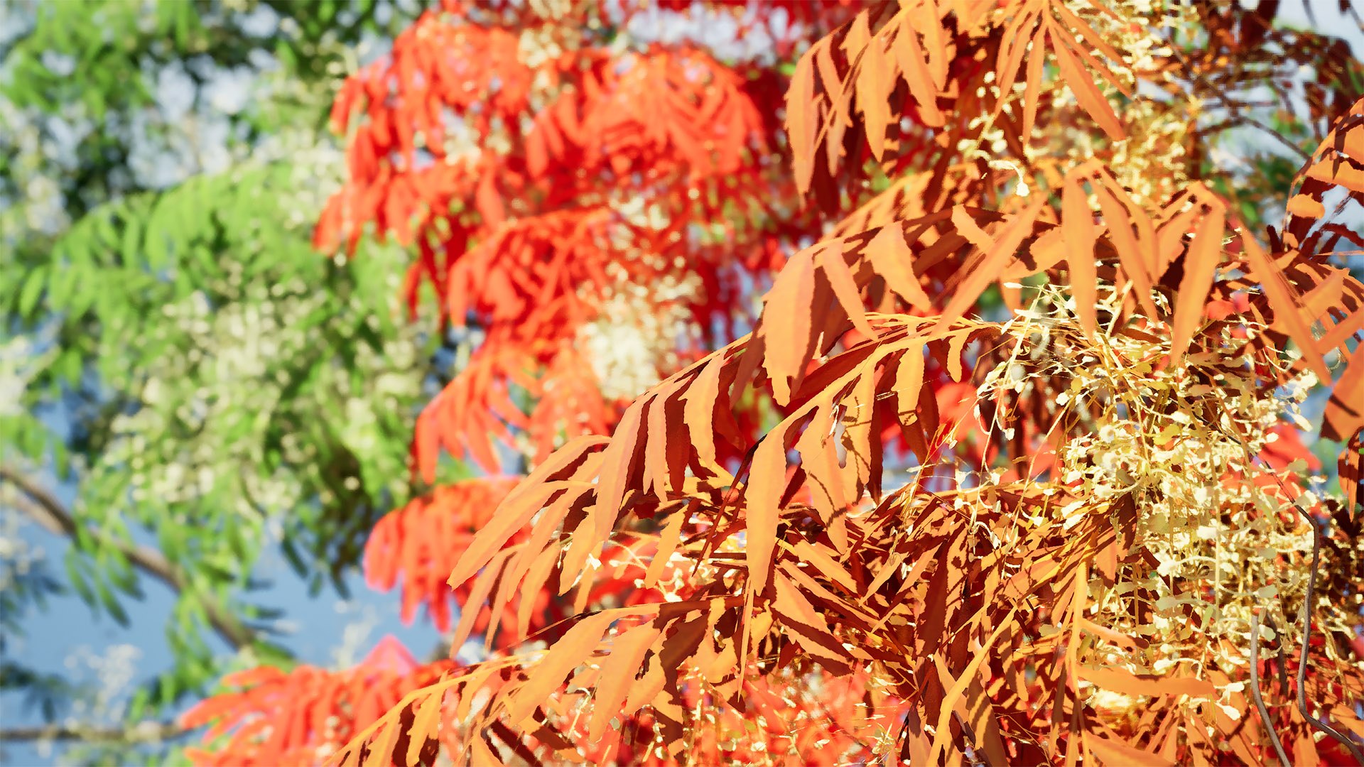 3D Sourwood Tree 3D Model https://p.turbosquid.com/ts-thumb/Mt/8kujQG/Ny/highresscreenshot00002/jpg/1741211445/1920x1080/fit_q87/8edadb1b0b3ad5470ed484ff150986e14d2d422e/highresscreenshot00002.jpg