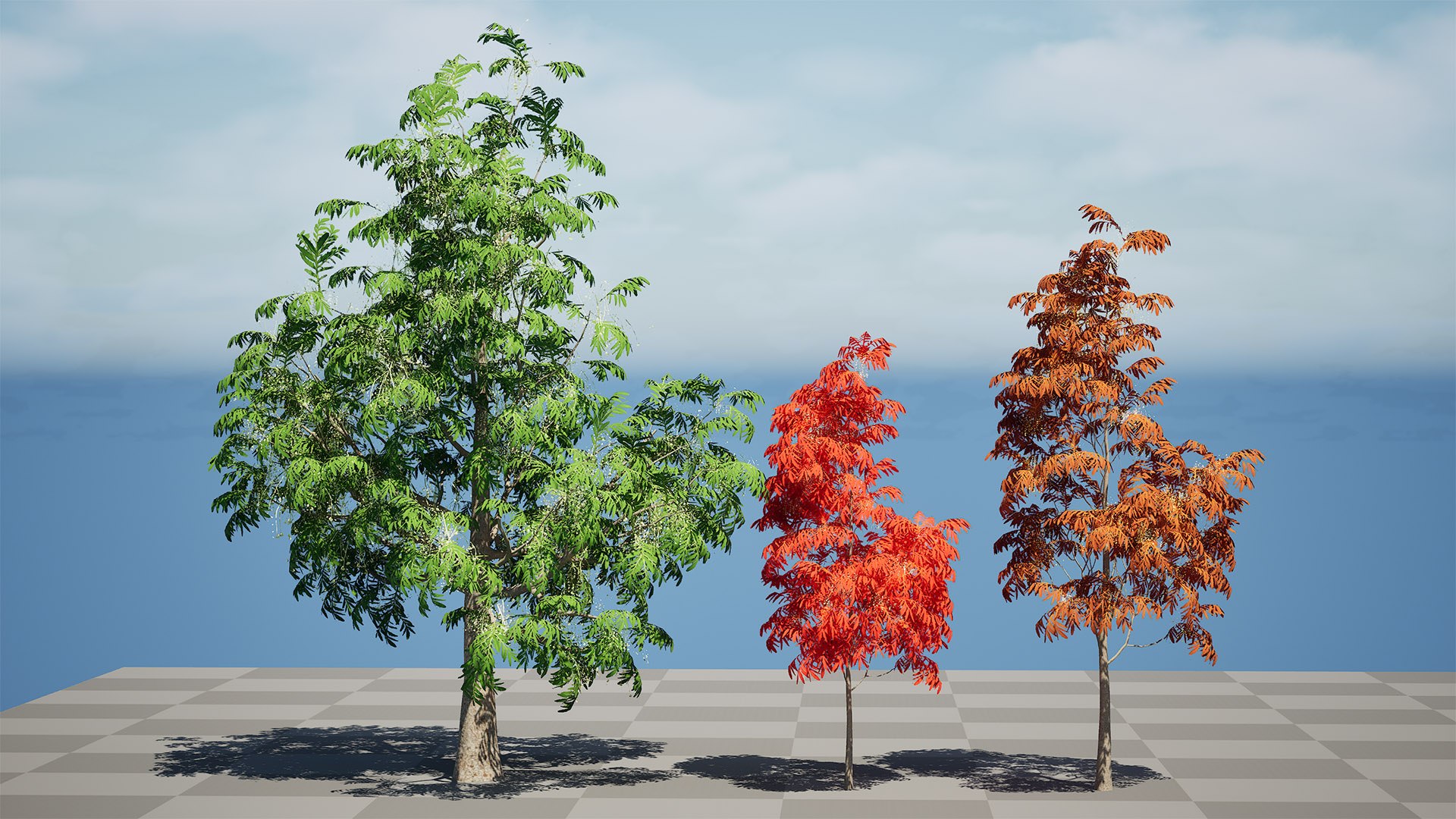 3D Sourwood Tree 3D Model https://p.turbosquid.com/ts-thumb/Mt/8kujQG/TT/highresscreenshot00001/jpg/1741211447/1920x1080/fit_q87/4dcb6af0acf4d6c254efc76c4cd104f1b1a7f5bf/highresscreenshot00001.jpg