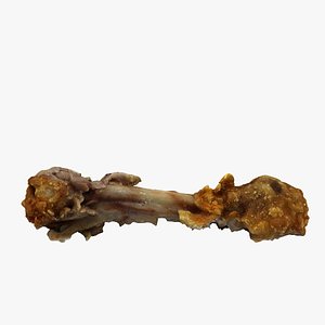 eaten drumstick 3D model