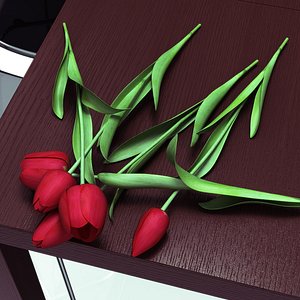 tulips lie 3d model