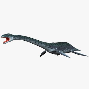 3d plesiosaur prehistoric modeled