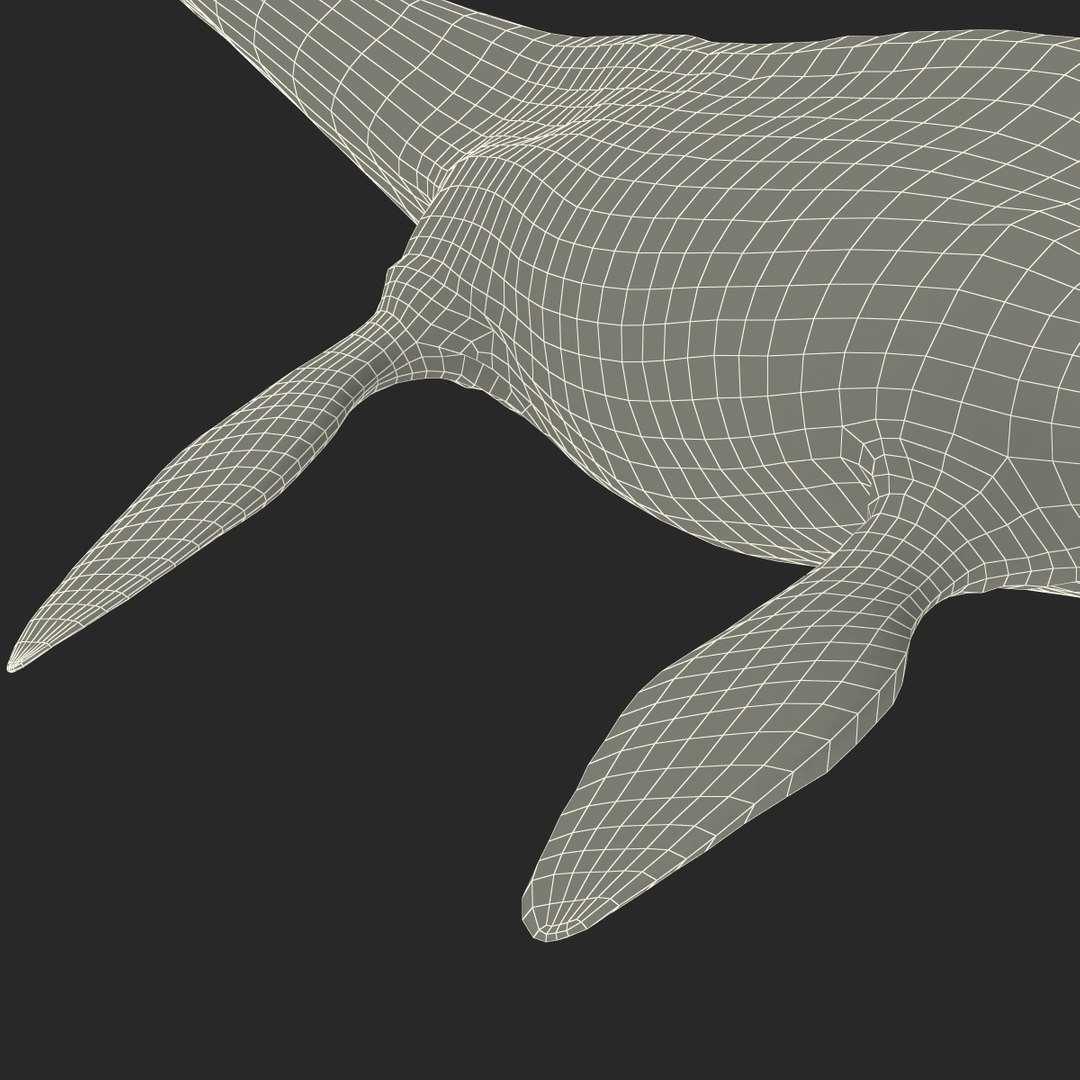 3d Plesiosaur Prehistoric Modeled