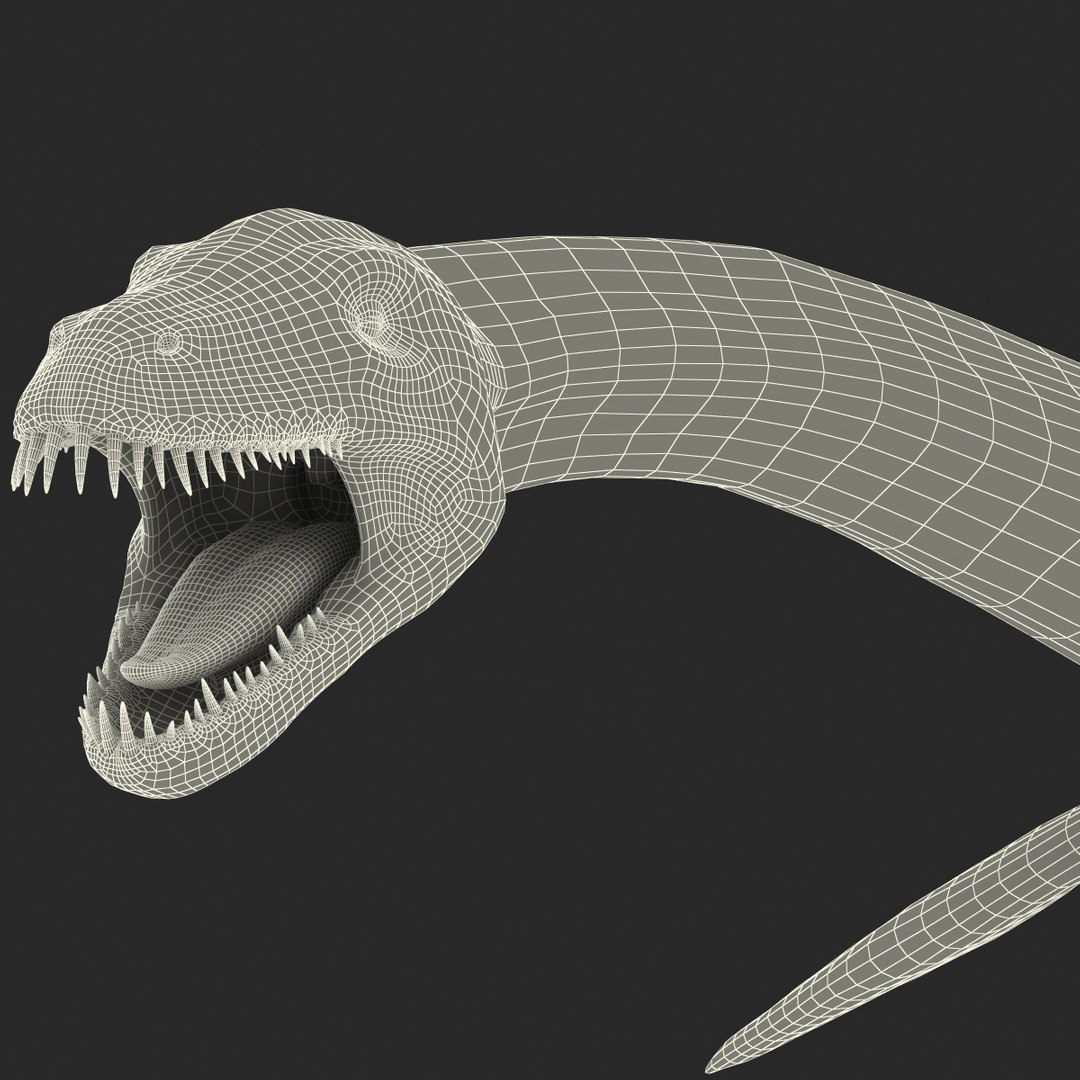 3d Plesiosaur Prehistoric Modeled