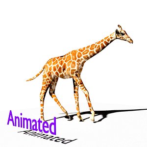 giraffe