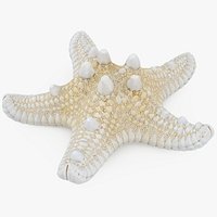 Sea Star