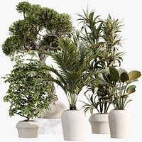 AV Indoor Plants Set 518 Banana Lemon Dragon Areca Palm Schefflera Ficus Bonsai