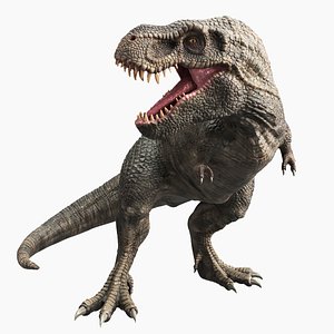 3D model descendant tyrannosaurus rex magnus