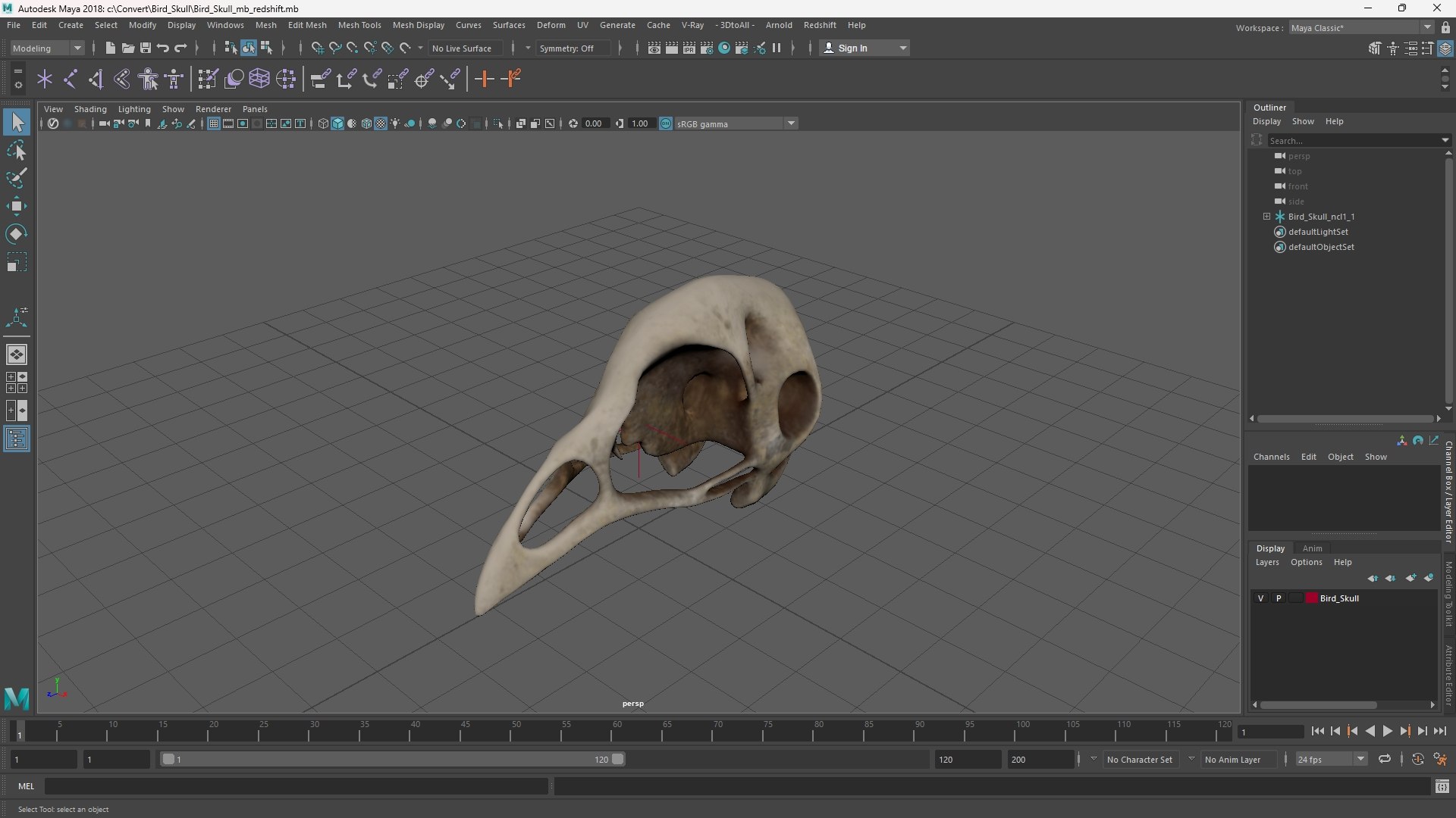 Bird Skull 3D model https://p.turbosquid.com/ts-thumb/Mt/iJPrUS/EI/bird_skull_1002/jpg/1759847157/1920x1080/fit_q87/7920154d1aa7b4041f90875a0380469213edb9c2/bird_skull_1002.jpg