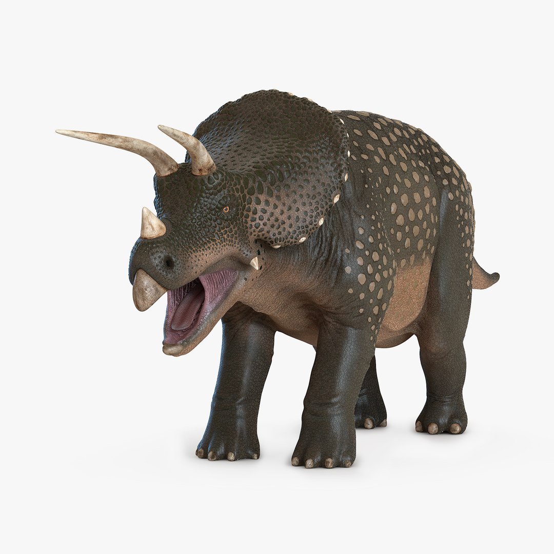 Triceratops 3D model preview
