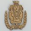 Coat of arms of Kherson region. Ukraine