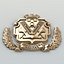 Coat of arms of Kherson region. Ukraine