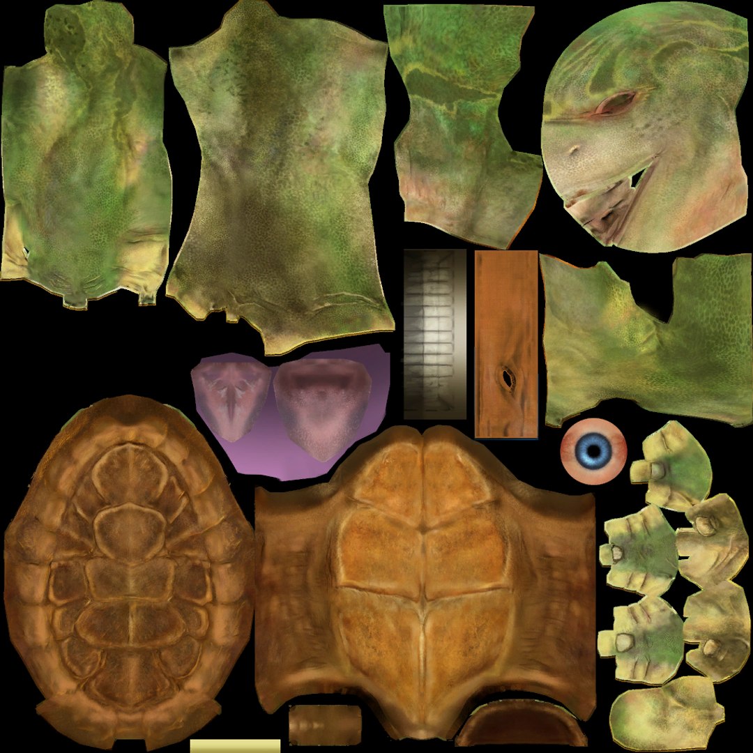 3D Michelangelo TMNT 3D Model High Quality Rigged model https://p.turbosquid.com/ts-thumb/Mu/9jTLrI/VP/mike_diff/png/1738002247/1920x1080/fit_q87/af3a871f5be0bf7c42ea0ba8f0e195e11ba2cc7f/mike_diff.jpg