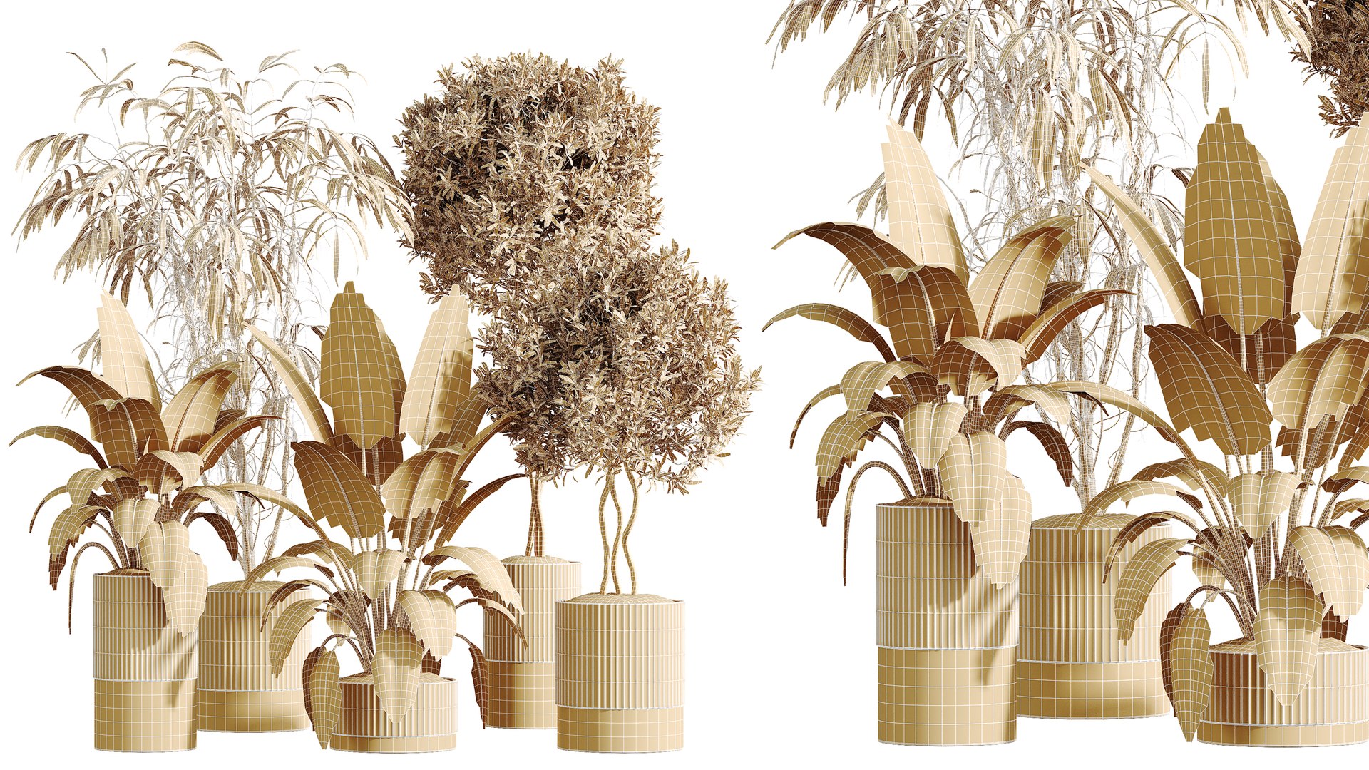 3D AV Indoor Plants Set 280 Mission Olive and Japandi Ficus Dracaena Marginata and Elastica Beliza Tine https://p.turbosquid.com/ts-thumb/Mu/BXxDmC/RC/07/png/1753947281/1920x1080/fit_q87/f709213fc75b7dca32a838903ad6007d0e0beecc/07.jpg