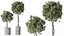 AV Ensemble de plantes d'intérieur 280 Mission Olive et Japandi Ficus Dracaena Marginata et Elastica Beliza Tine