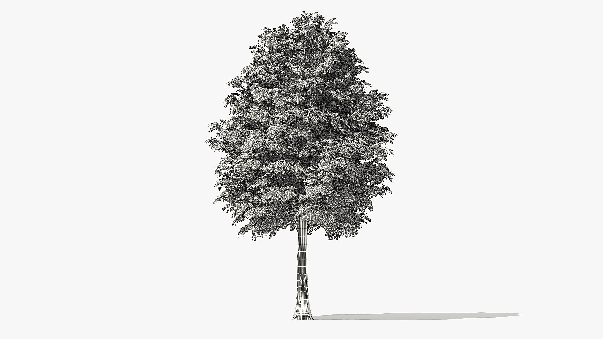 autumn rock elm tree 3D https://p.turbosquid.com/ts-thumb/Mu/DTNGUl/TqVkFIbe/10_meter_autumn_rock_elm_tree_grid_turntable_000012/jpg/1572119020/1920x1080/fit_q87/9279771a57e7ff4b2c5eb69f32ac5b5983462409/10_meter_autumn_rock_elm_tree_grid_turntable_000012.jpg