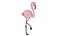 3D flamingo rigged model